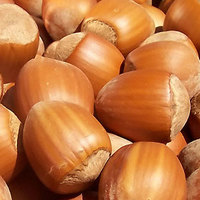 Greenman ejuice Hazelnut
