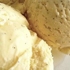 Greenman ejuice Vanilla Bean Ice Cream