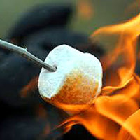 Greenman ejuice Toasted Marshmallow