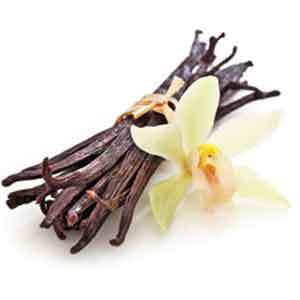 Greenman ejuice French Vanilla