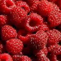 Greenman ejuice Raspberry