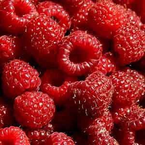 Greenman ejuice Raspberry