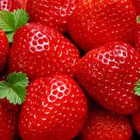 Greenman ejuice Fresh Strawberry